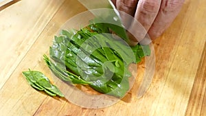 Cutting spinach leaves to cook the recipe