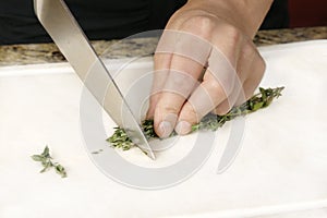 Cutting Thyme