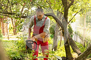 Cutting tree branches with a pole chain saw
