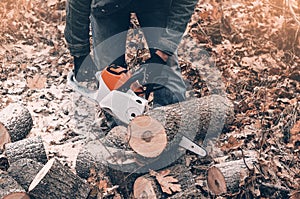 Cutting trees in autumn in the woods. Man hands hold a chain saw