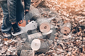 Cutting trees  in autumn in the woods. Man hands hold a chain saw