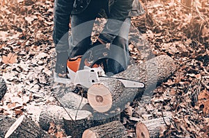 Cutting trees in autumn in the woods. Man hands hold a chain saw