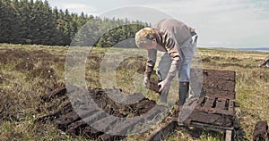 Cutting Turf Peat by spade in Moss Bog in Ireland