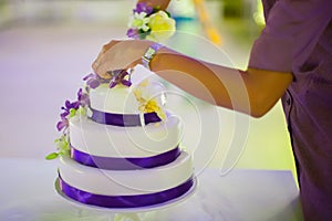 Cutting the wedding cake