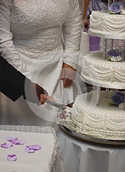 Cutting Wedding Cake