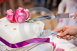 Cutting the wedding cake