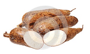 Cutting and whole manioc