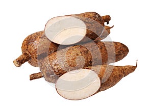 Cutting and whole manioc