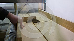 Cutting Wood In Carpenter Workshop With Table Circular Saw