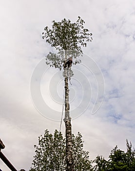 Cutting wood in a confined space