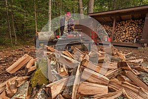 Cutting wood with a log splitter photo