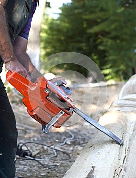 Cutting wood with motor saw