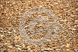 Cuttings rasping background