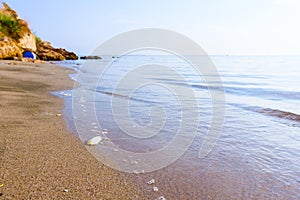 Cuttlebone is on the sandy beach