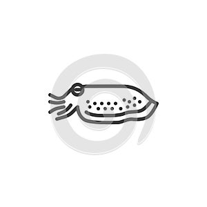 Cuttlefish mollusk line icon