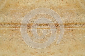 Cuttlefish skin texture