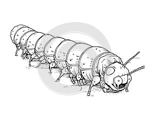 Cutworm Coloring Page For Kids