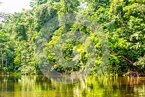 Cuyabeno Ecuador River