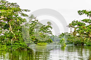 Cuyabeno Ecuador River