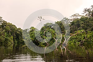 Cuyabeno River, Ecuador