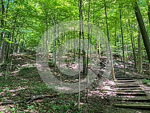 Cuyahoga Valley Cuyahoga Valley National Park In Ohio