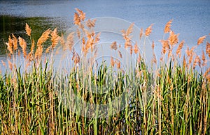 Cuyahoga Valley National Park photo