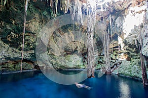 Cuzama cenote, Yucatan, Mexico