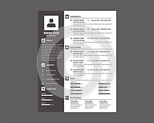 CV Resume / Curriculum Vitae Light photo