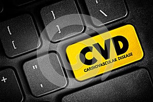 CVD Cardiovascular Disease - group of disorders of the heart and blood vessels, acronym text button on keyboard, concept photo