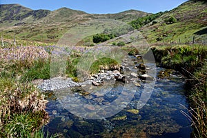 Cwm Pennant stream