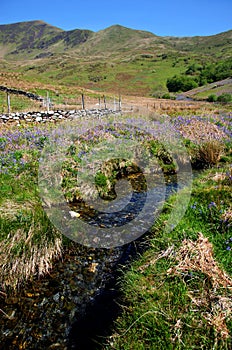 Cwm Pennant stream