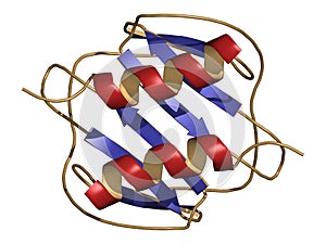 CXCL1 cytokine (AKA melanoma growth-stimulatory activity), chemical structure. Implicated in the pathogenesis of melanoma skin