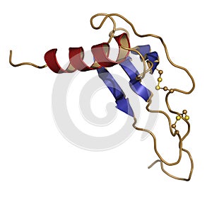 CXCL1 cytokine (AKA melanoma growth-stimulatory activity), chemical structure. Implicated in the pathogenesis of melanoma skin