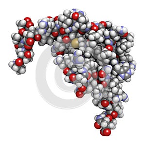 CXCL1 cytokine (AKA melanoma growth-stimulatory activity), chemical structure. Implicated in the pathogenesis of melanoma skin