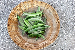 Cyamopsis tetragonaloba, Guar bean, Cluster bean