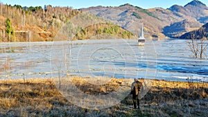 Cyanide lake at Geamana Romania photo