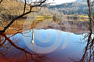 Cyanide lake at Geamana Romania photo