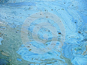 Cyanobacteria, algae - mix of colours, background photo