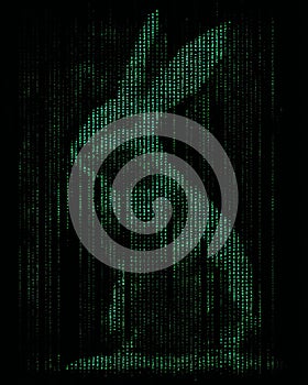 Cybernetic Rabbit Hole