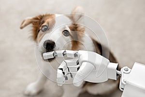 Cyborg or robot hand with a puppy