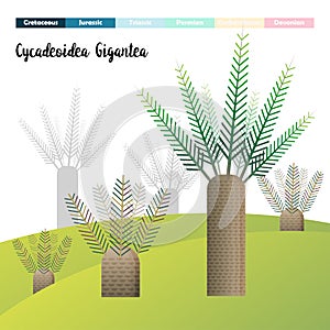 Cycadeoidea gigantea plants Prehistoric