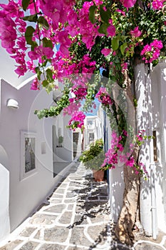 A cycladic, whitewashed alley at Naousa, Paros