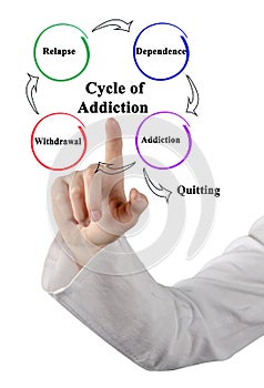 The Cycle of Addiction