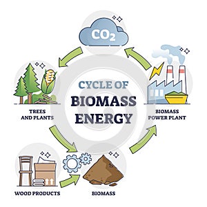 Cycle of biomass energy as direct combustion in power plant outline diagram