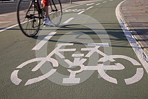 Cycle Lane photo