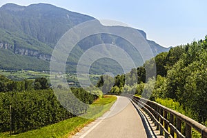 Cycle lane of the Adige valley