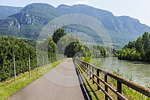 Cycle lane of the Adige valley