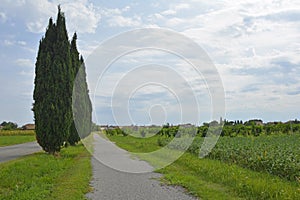 Cycle Lane in North East Italy