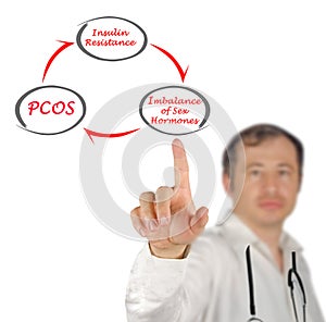 Cycle leading to PCOS