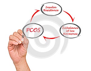Cycle leading to PCOS